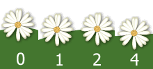 compteur de site