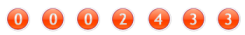website hit counter
