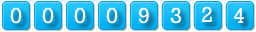 web page visit counter