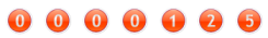 website hit counter