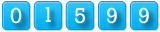 website counter