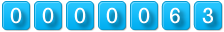 website counter