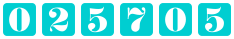 website counter