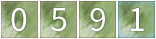 web counter