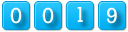 web page counter