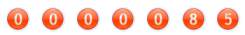 website hit counter