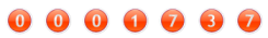 page visitor counter