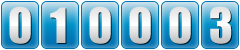 website hits counter