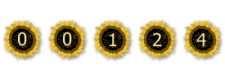 website counter