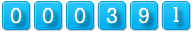 web counter