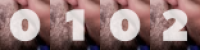 counter for website